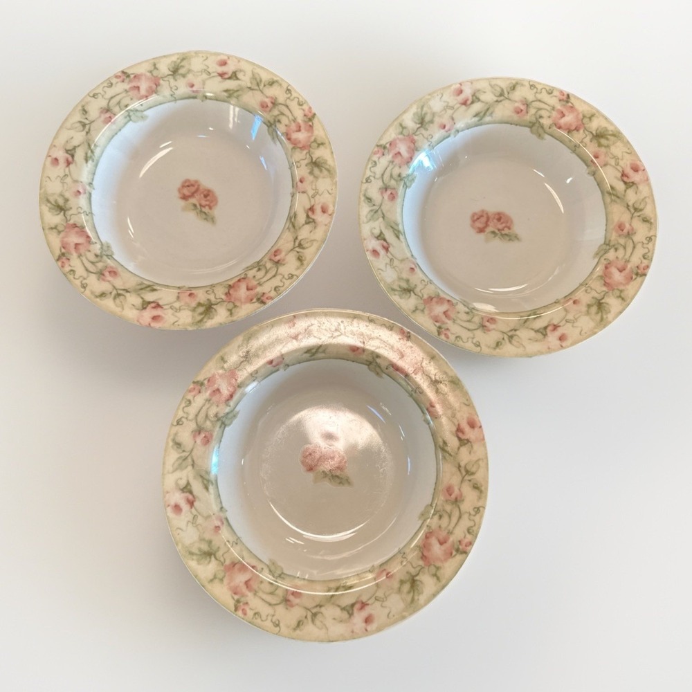 CHERI BLUM For 222 FIFTH Floral Rimmed 9" Rimmed Soup Bowl SAVANNAH - Set Of 3